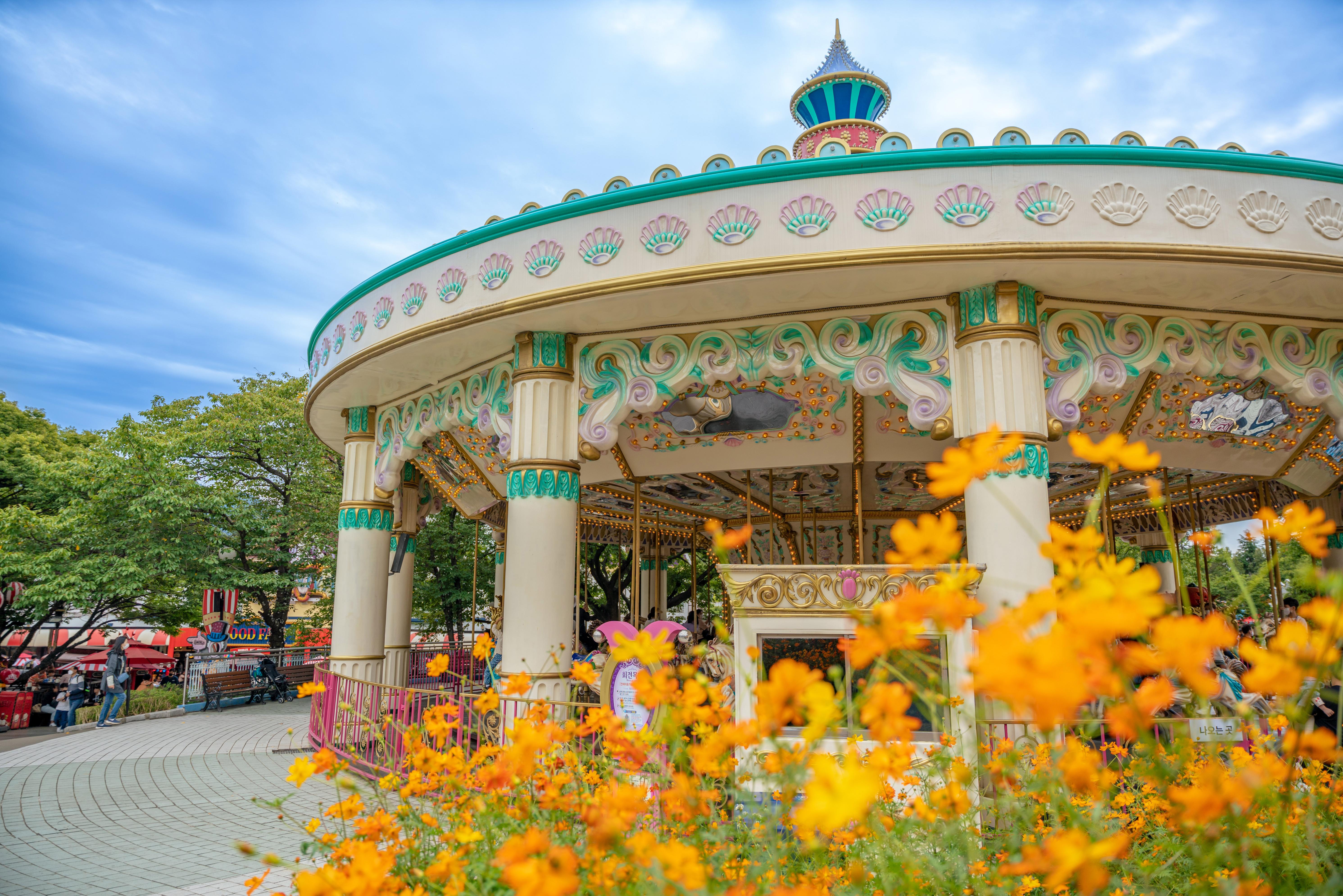 Blueline Park Sky Capsule & Chasing Cherry Blossom and Spring Flowers Day Tour - Photo 1 of 10